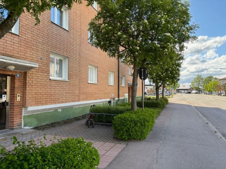 image-15