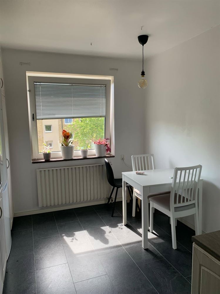 e44265a9370e15764a593370bb7691bc