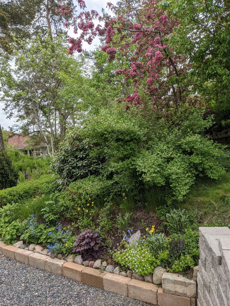 97daecab580ec16a685db7ec4e0dd03f