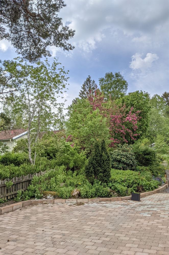 beb55af74e4ab5b1835750ed8486d0d5