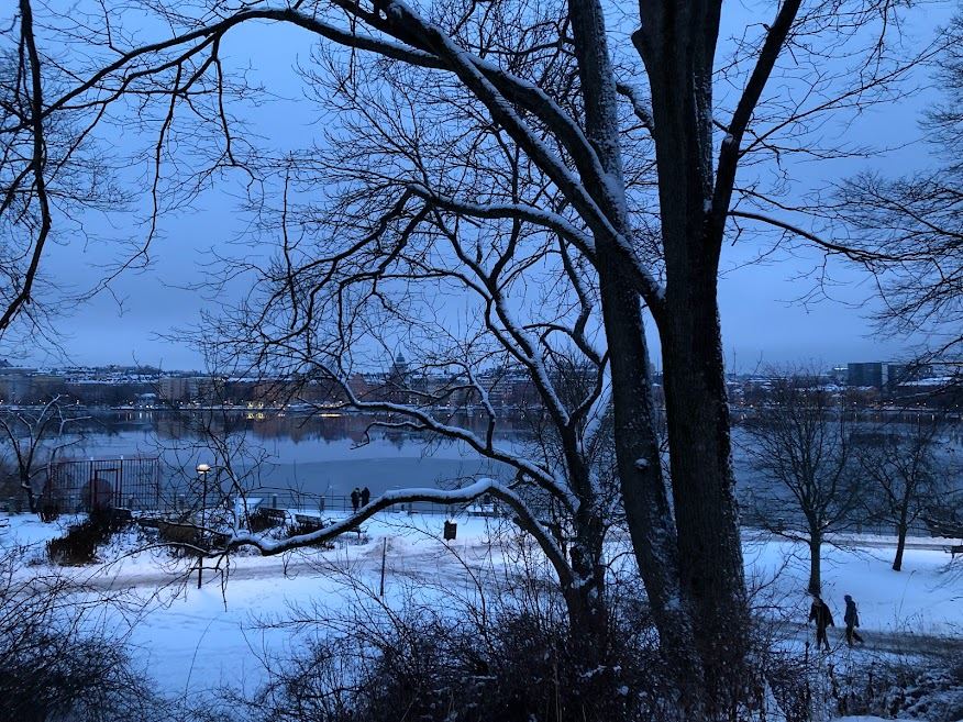 dd22e9acab7a649b54d564eeb733293a