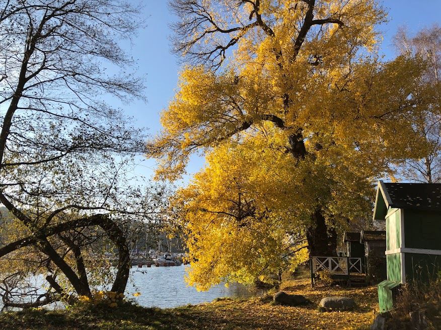 50a2d0dd517a4f2bd948874d9efa9c82