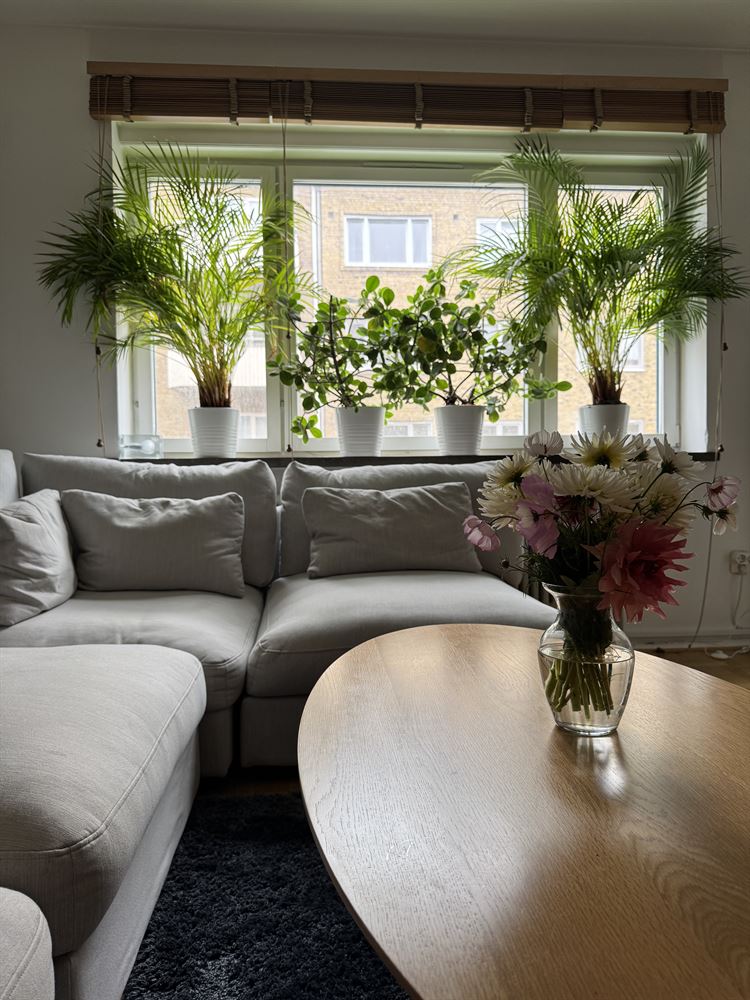 dfd0cbf7f8b813cec740aba8bd1e3ce8