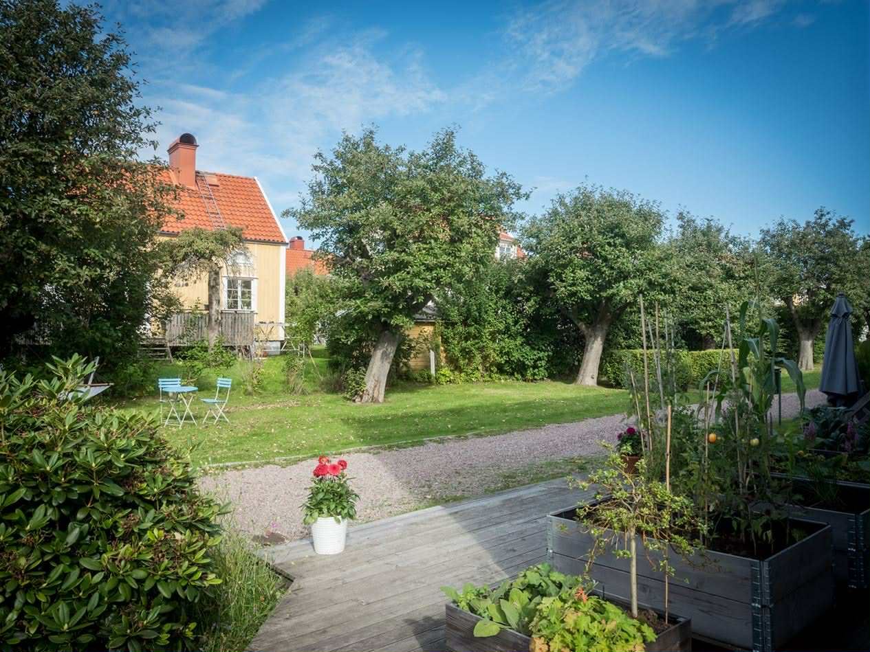 562a96d10cd2d249a0dffed742d0c20e