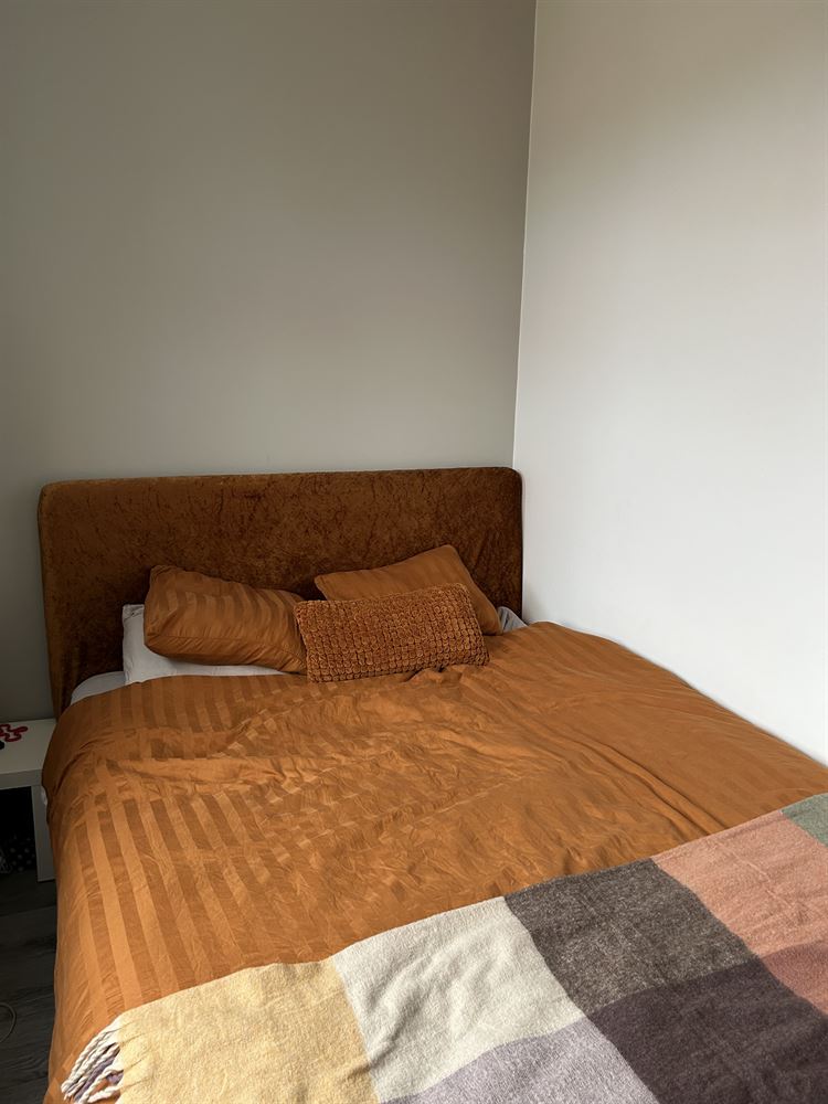 9622c23c2c03eaacb797ba4c54992352