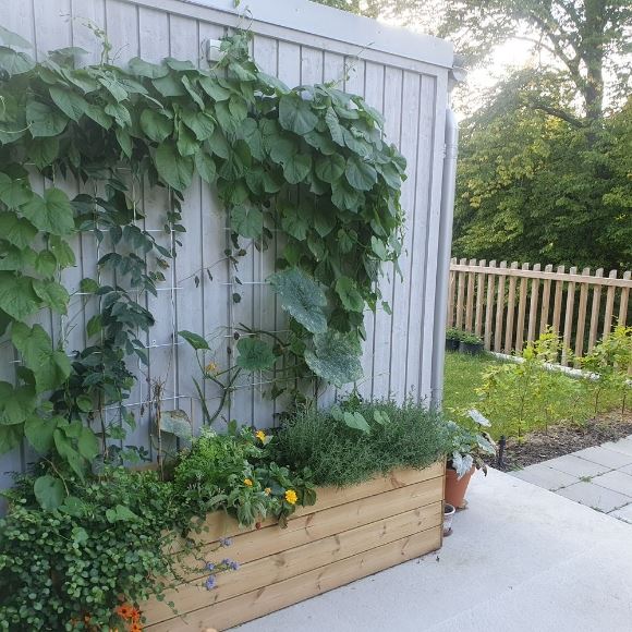 af6d55cac4da1d3d9dd4c75da989a84d