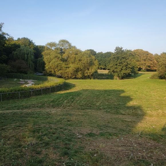 07c29a0b9f009b569e491dfe44433b84