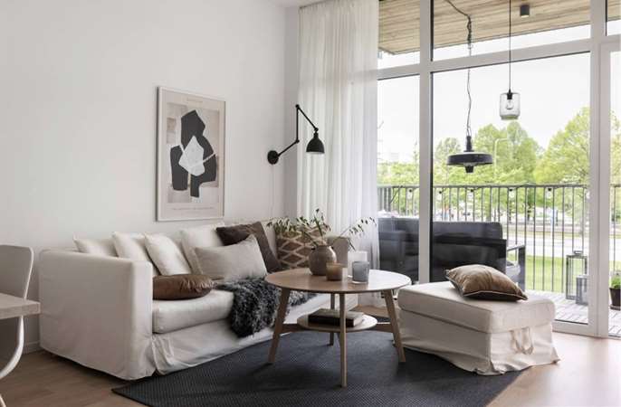 Myggan Ericsons Gata