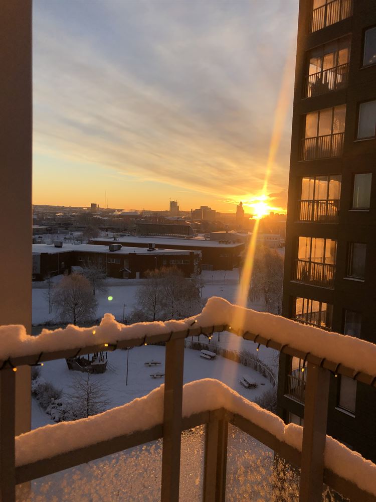 775e7ff5de2604b29455bf743cee1f74