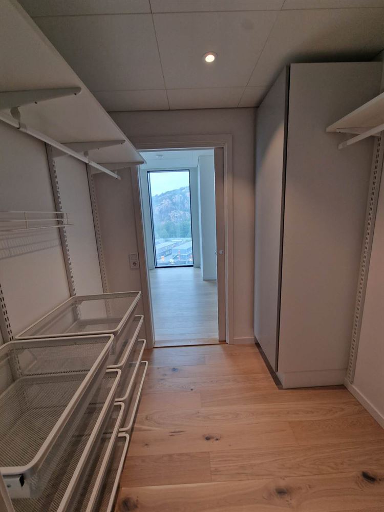 3099741792787ed08e3c8e61a5ece6ae