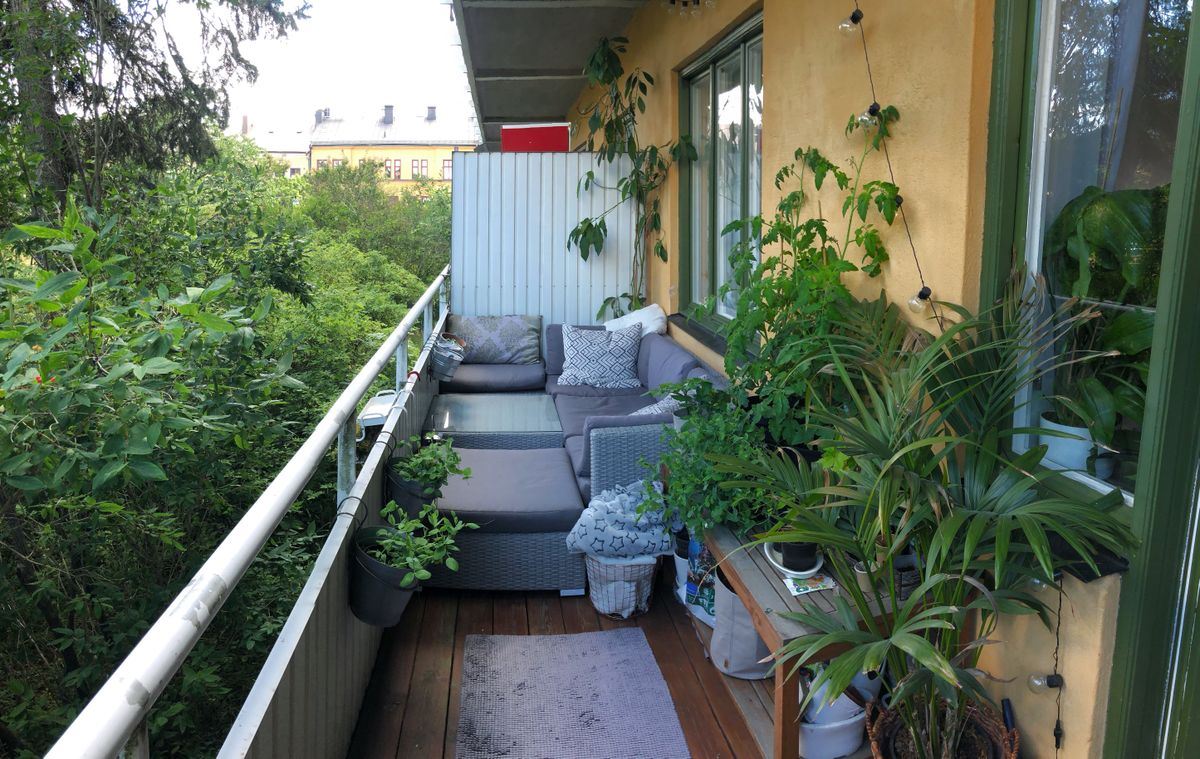 ac22f31d195aa460491813c5c5aca484