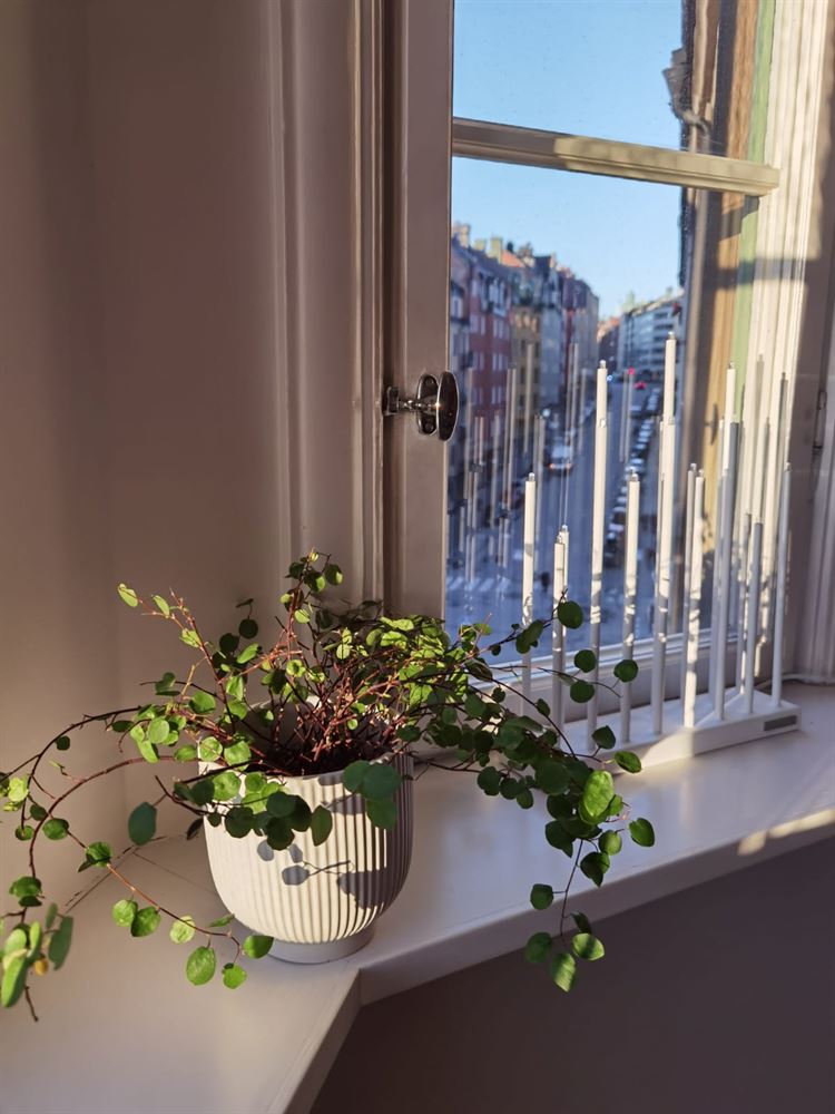 e70c7c789d93e845f178574fc10d9a35