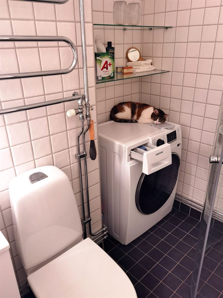 ac335afa05bd9fb3c31679d7a2ecaee5