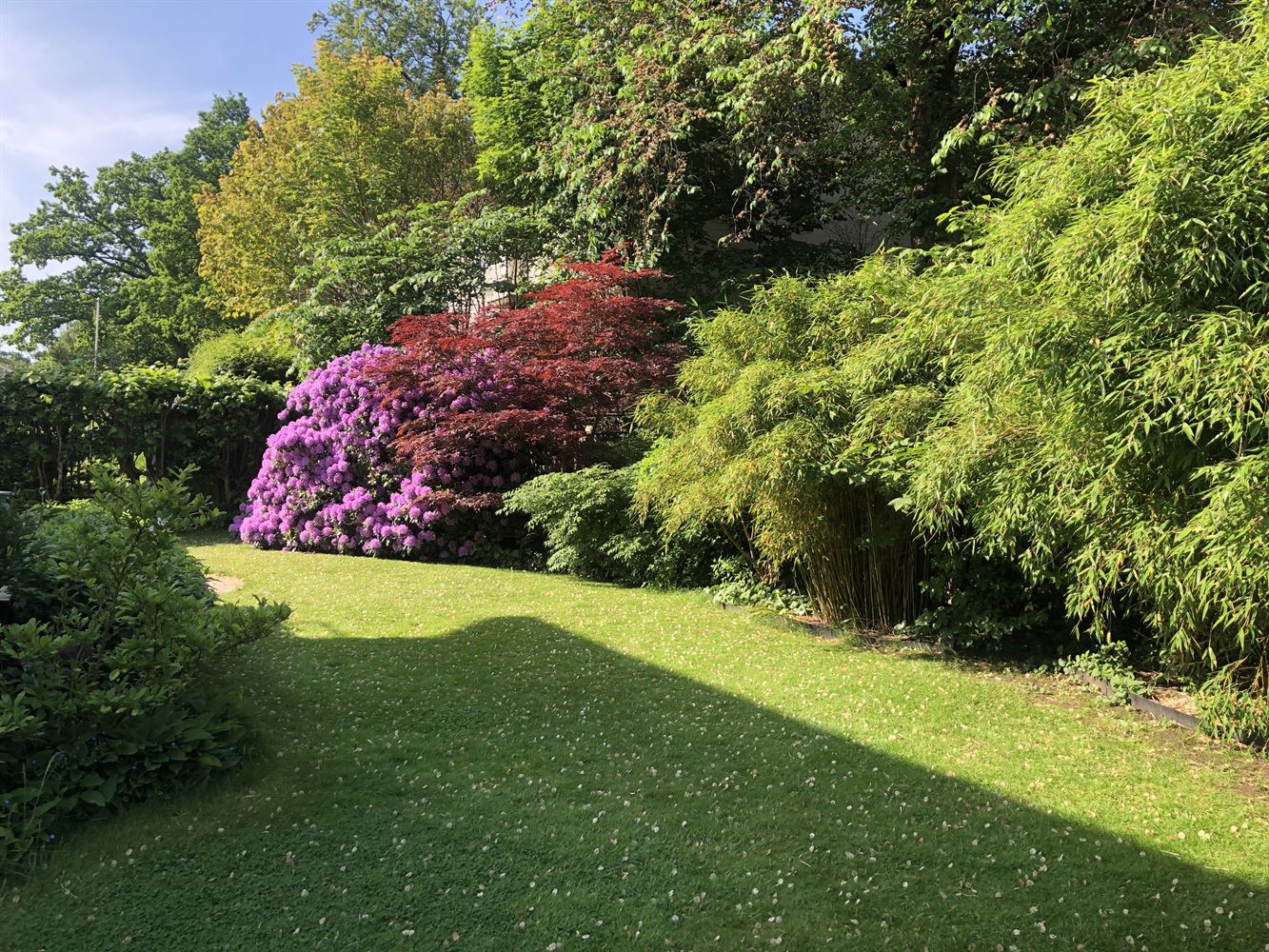 2b65adc973073e7f18e434d9c60b2036