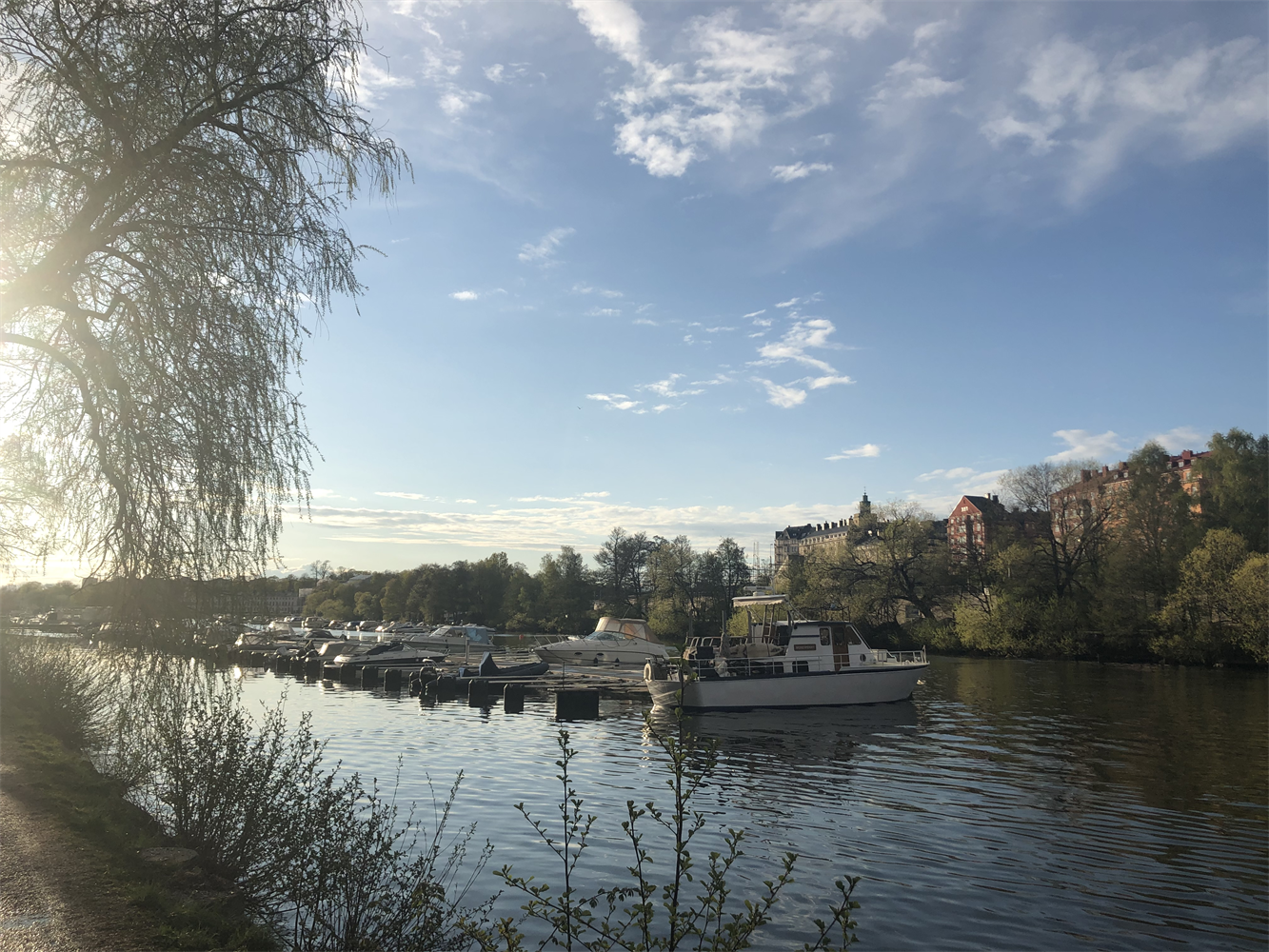 233d8fd5cf00cb3c66fa415089cb3195