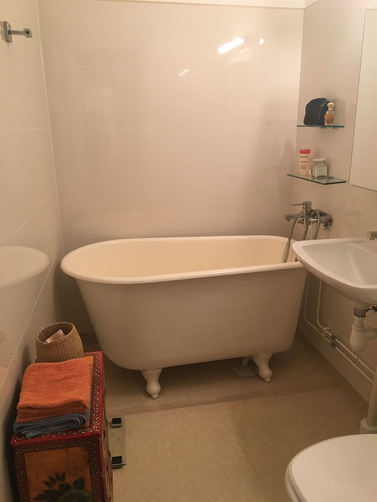 8a188d07db1affe88d429a3793db815a