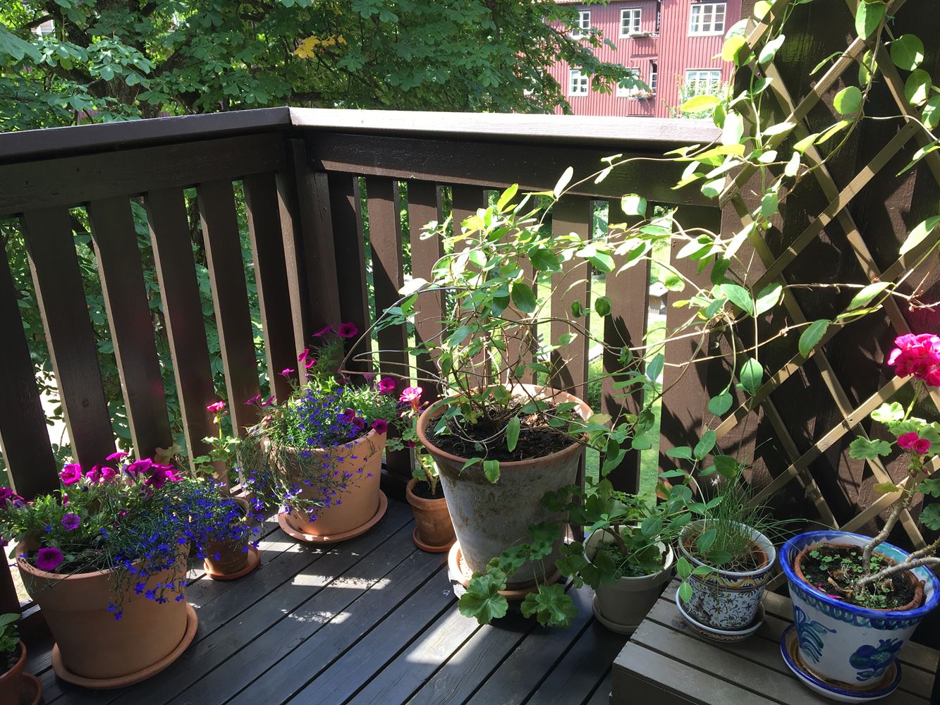 bedbd99a6bf196df7f7076ce6c0b2e6e