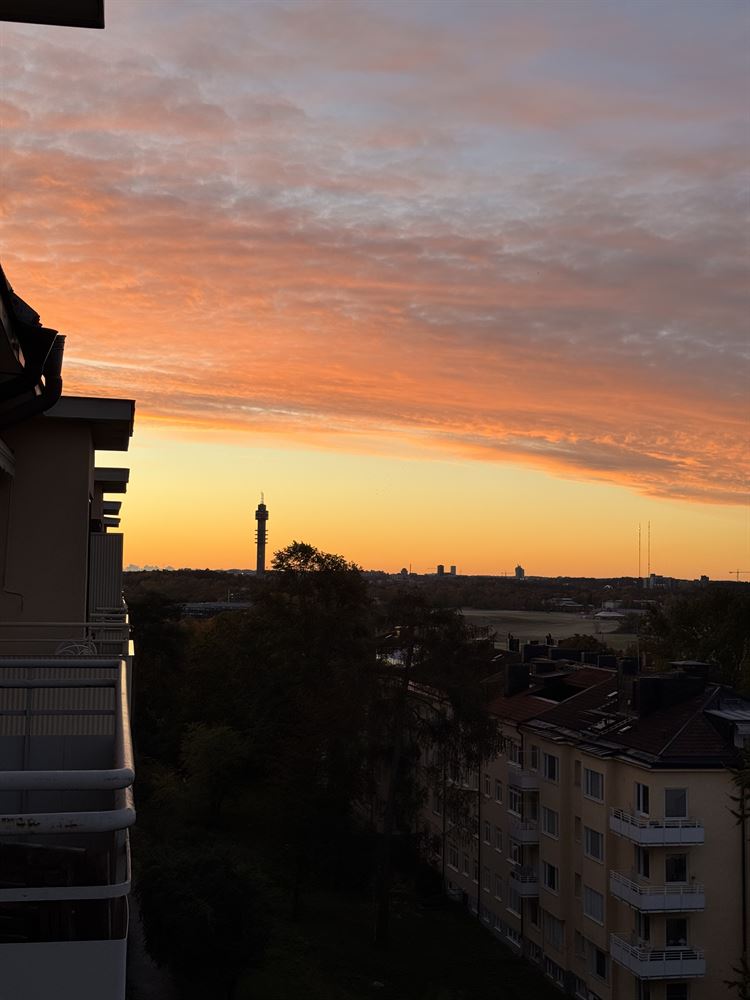 ff017fdff0d8326686a8ea19279a9a27