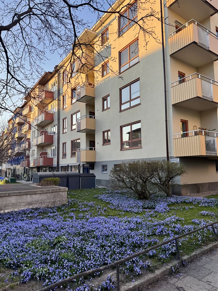 ce191f07530c4000a3958983808527e3