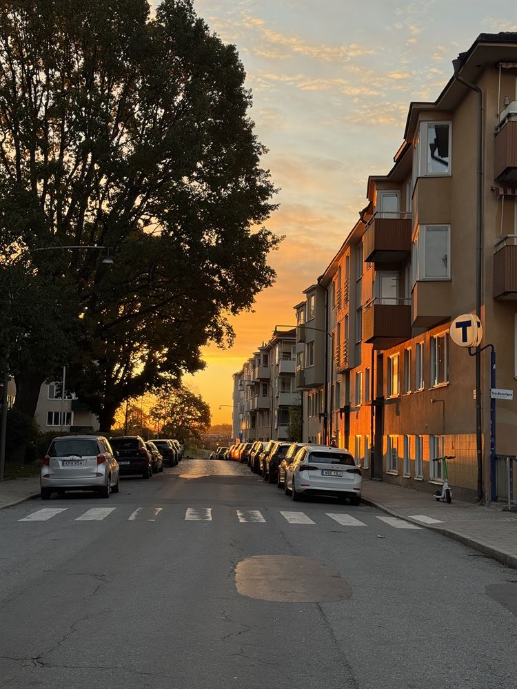 c90500617019b76add3681ff16ee46ee