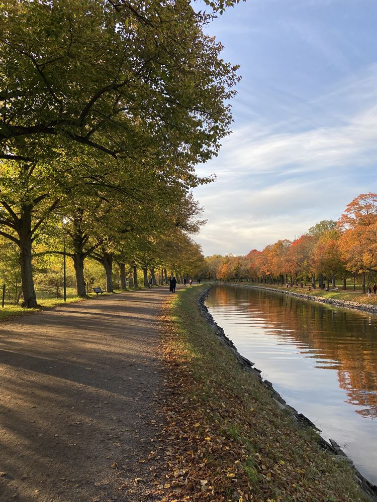 873509a5439ddab73ae73b9bcddaa4fb