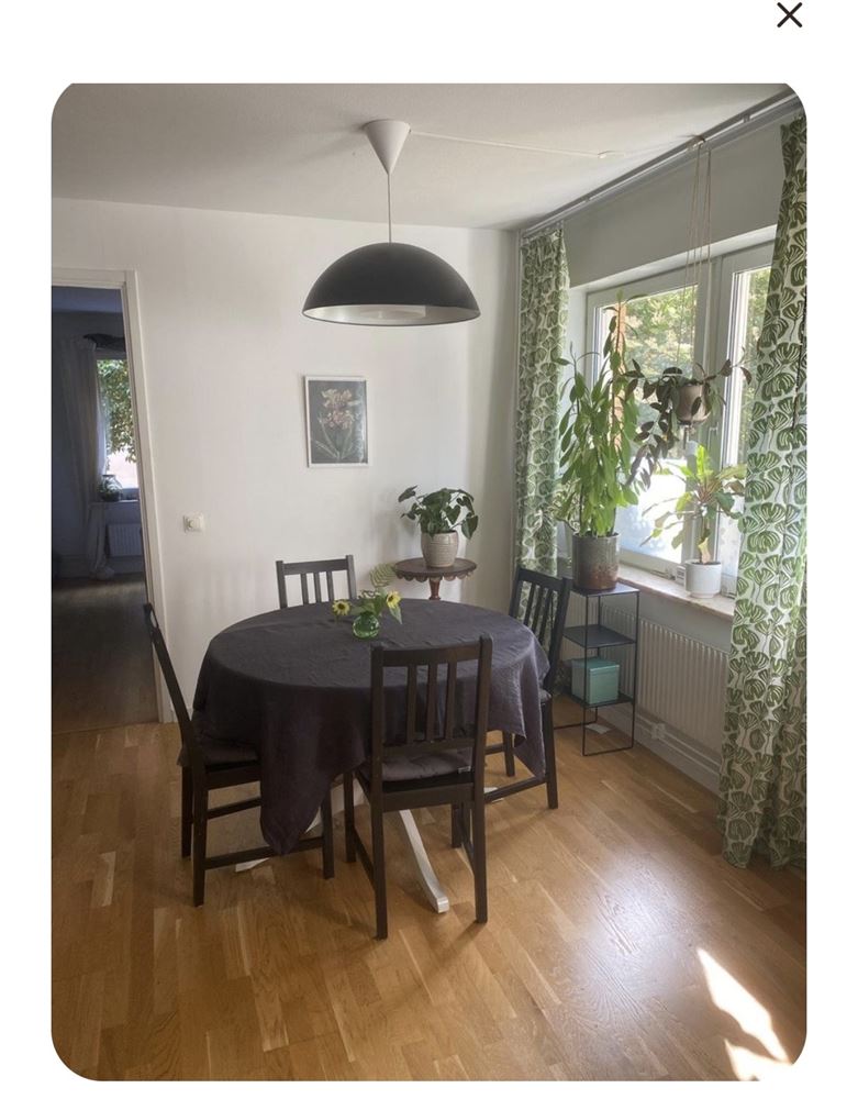 e725e335efc0fc319c55d7a963364734