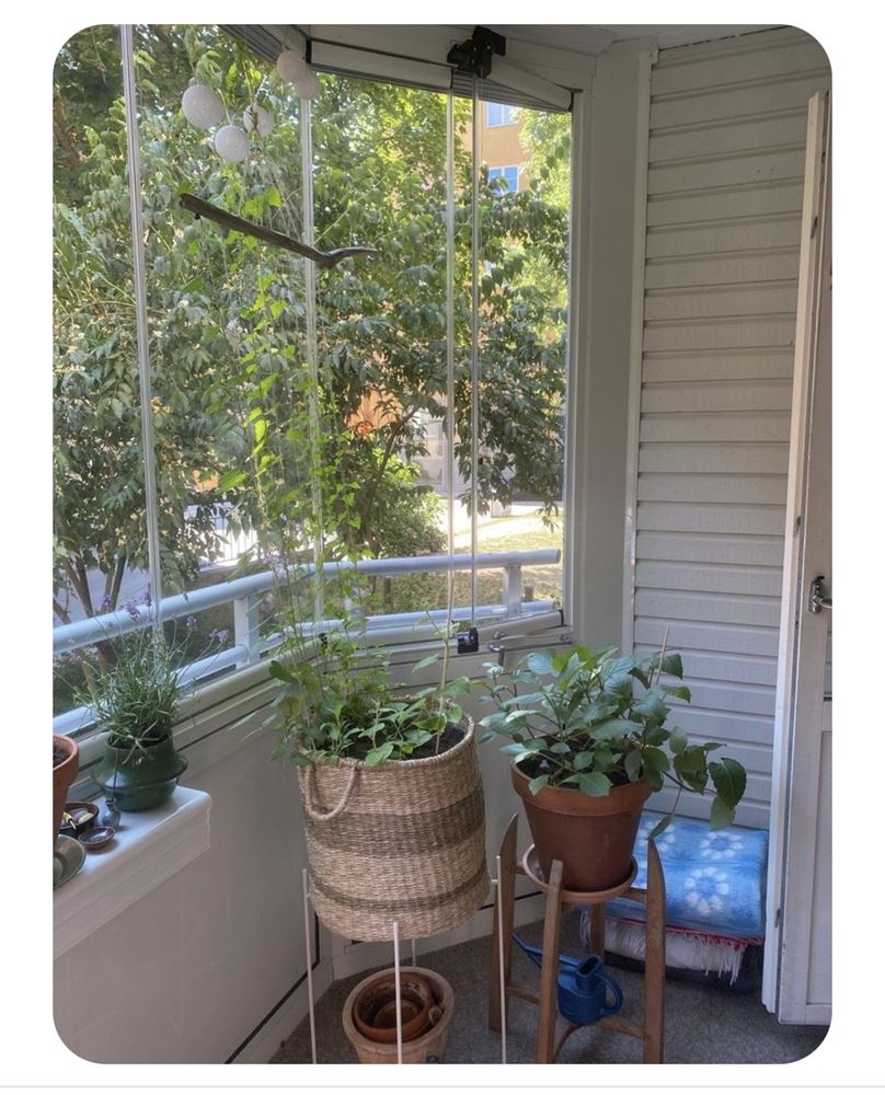 27606358859f173d86e7d864cd13214a