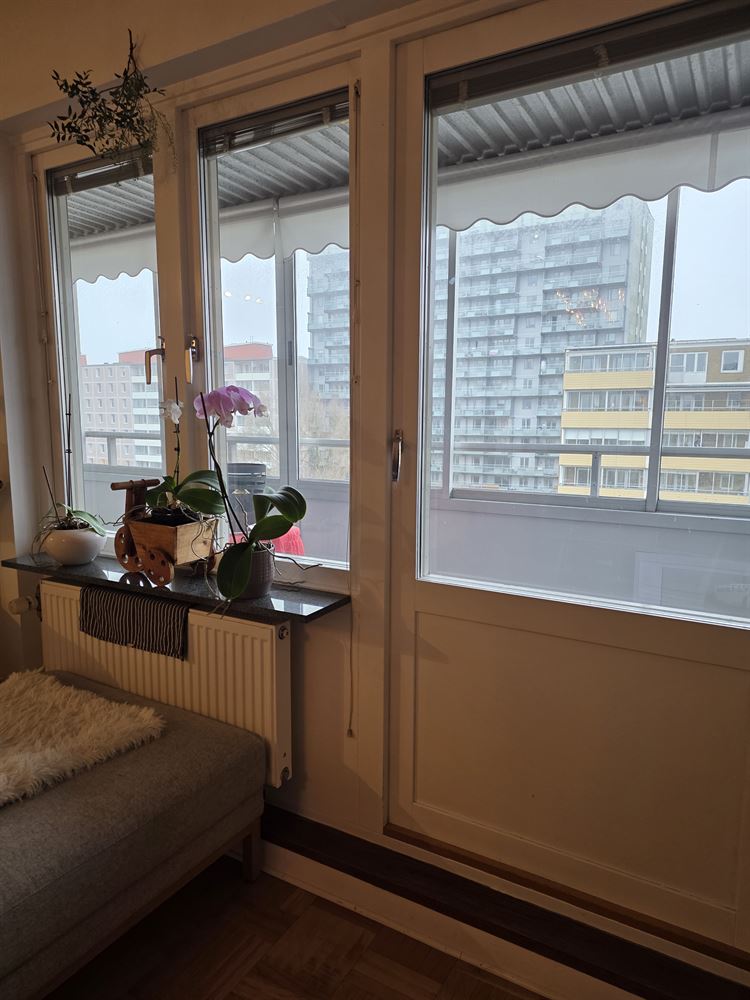 11bee964d84844d762b90c66d56760de