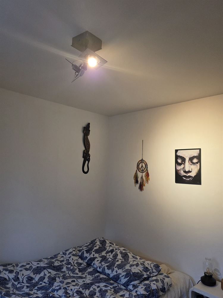 8048f4246a3a17a67ae5baf056b6d385