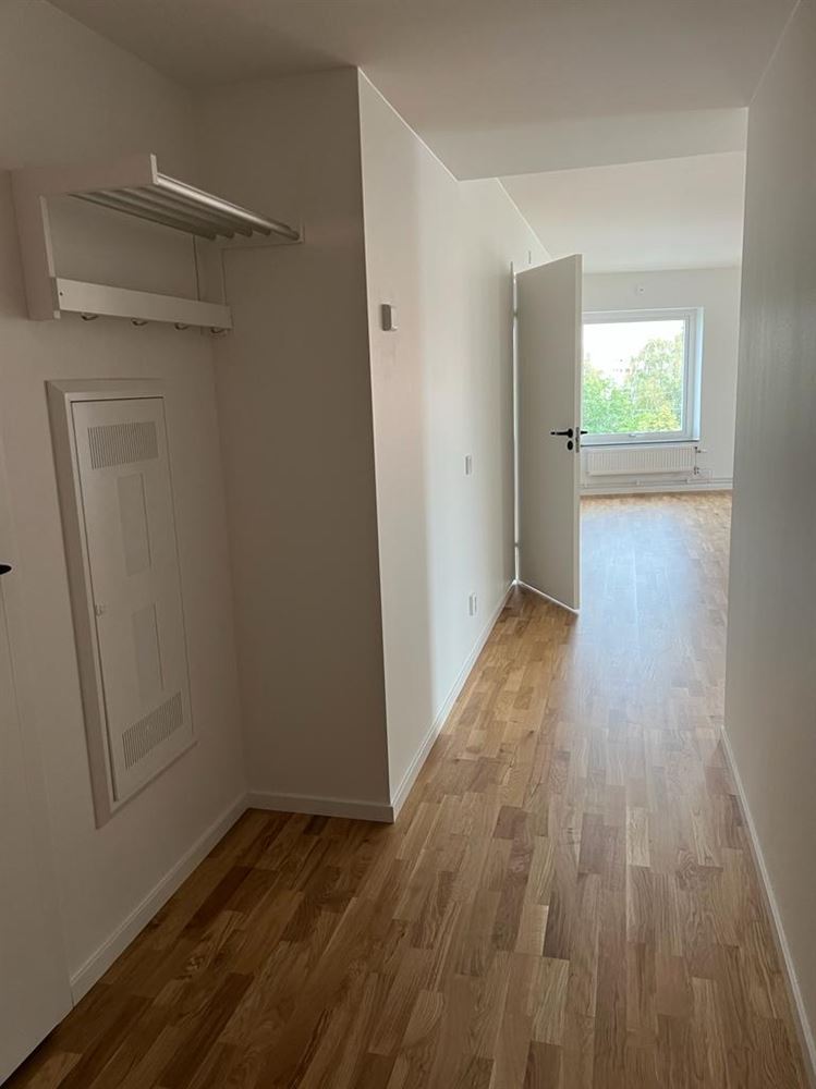 3123fdd0ee2e95035505026f6d88a771