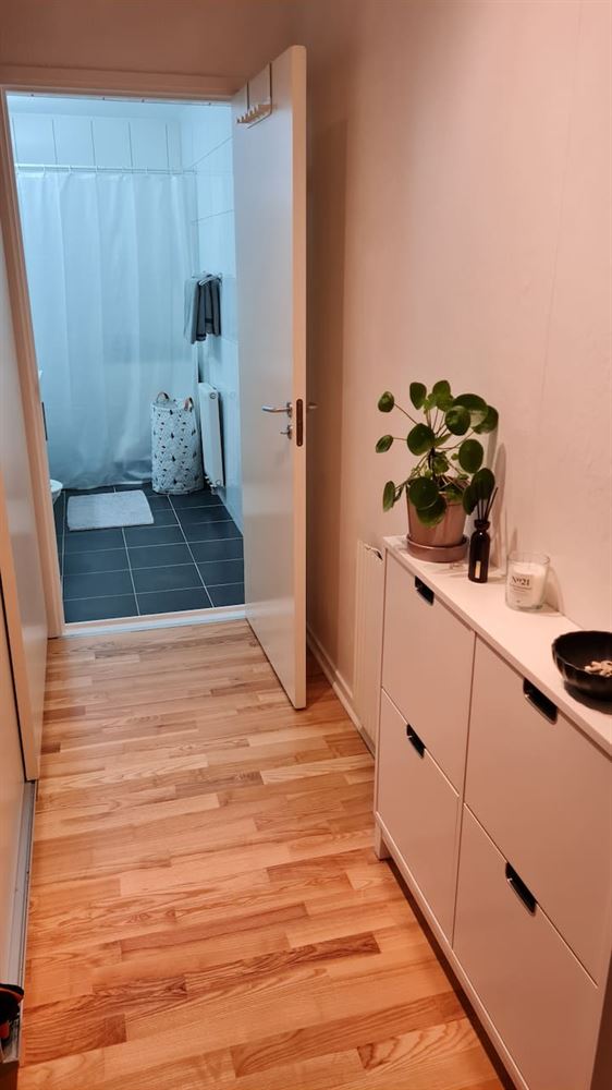 c810e882b438426c32a738de5e52acb0