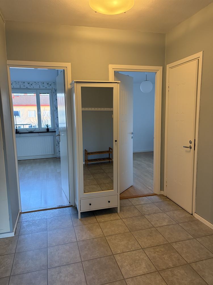 b2cf0611ce8ef914b6f8ac7bc0893bed