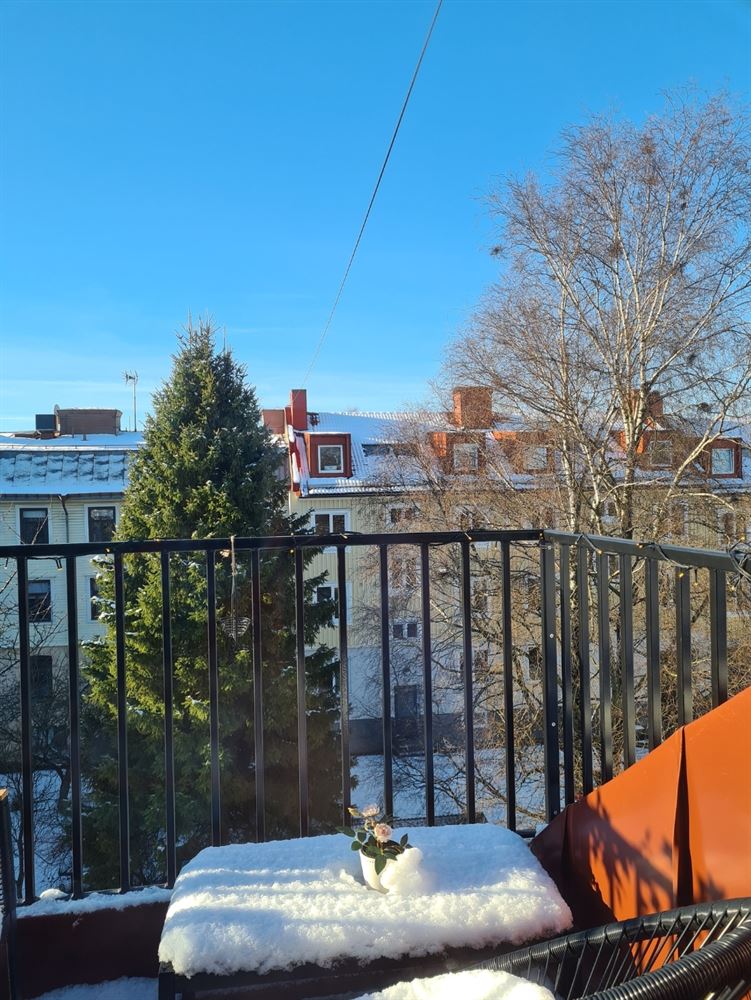 c7345f7e62a8a0b2ede94f3fa2244c49