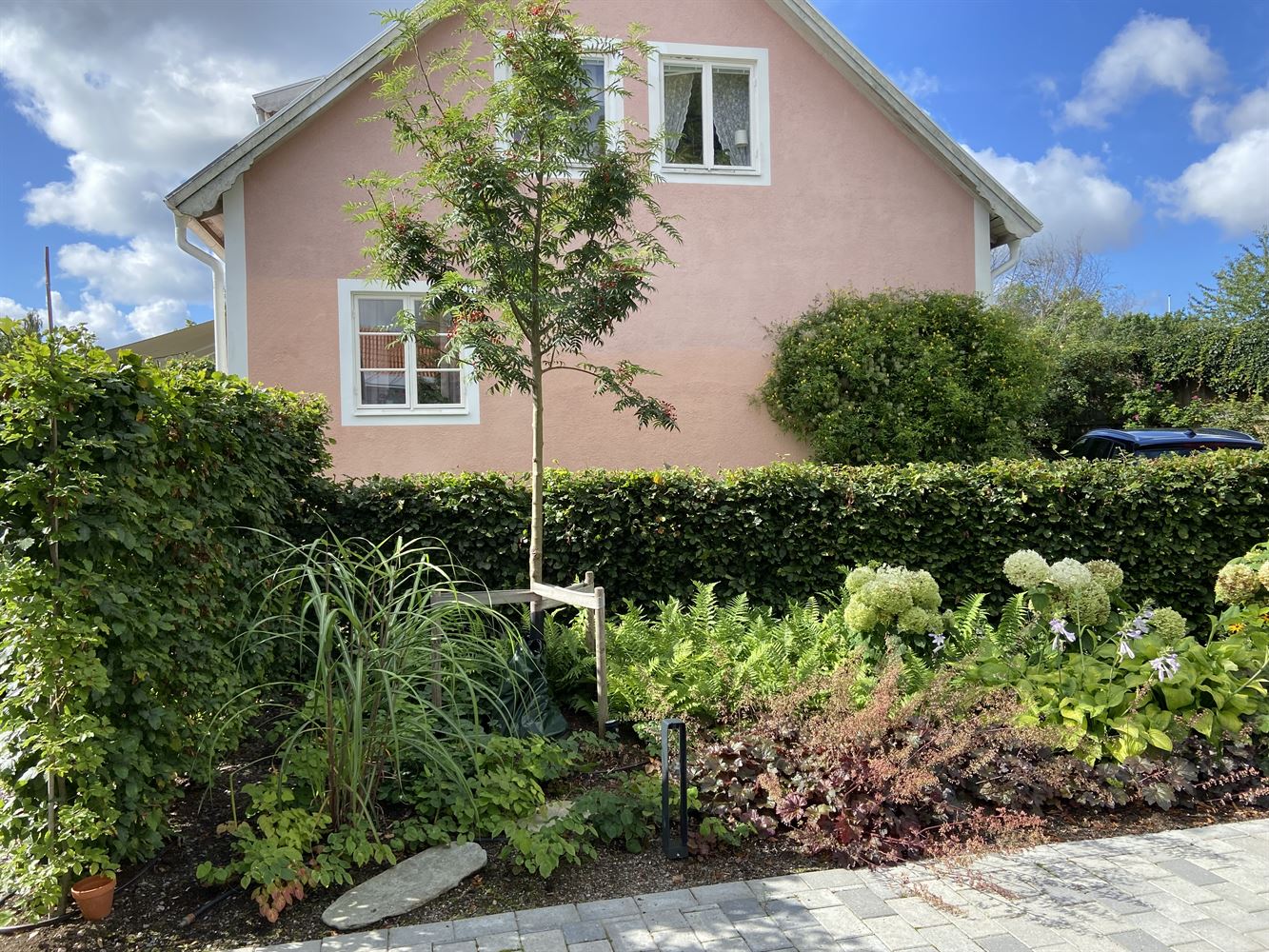 3a17fa0db04e92fa5b024b6e3c5ac7c6