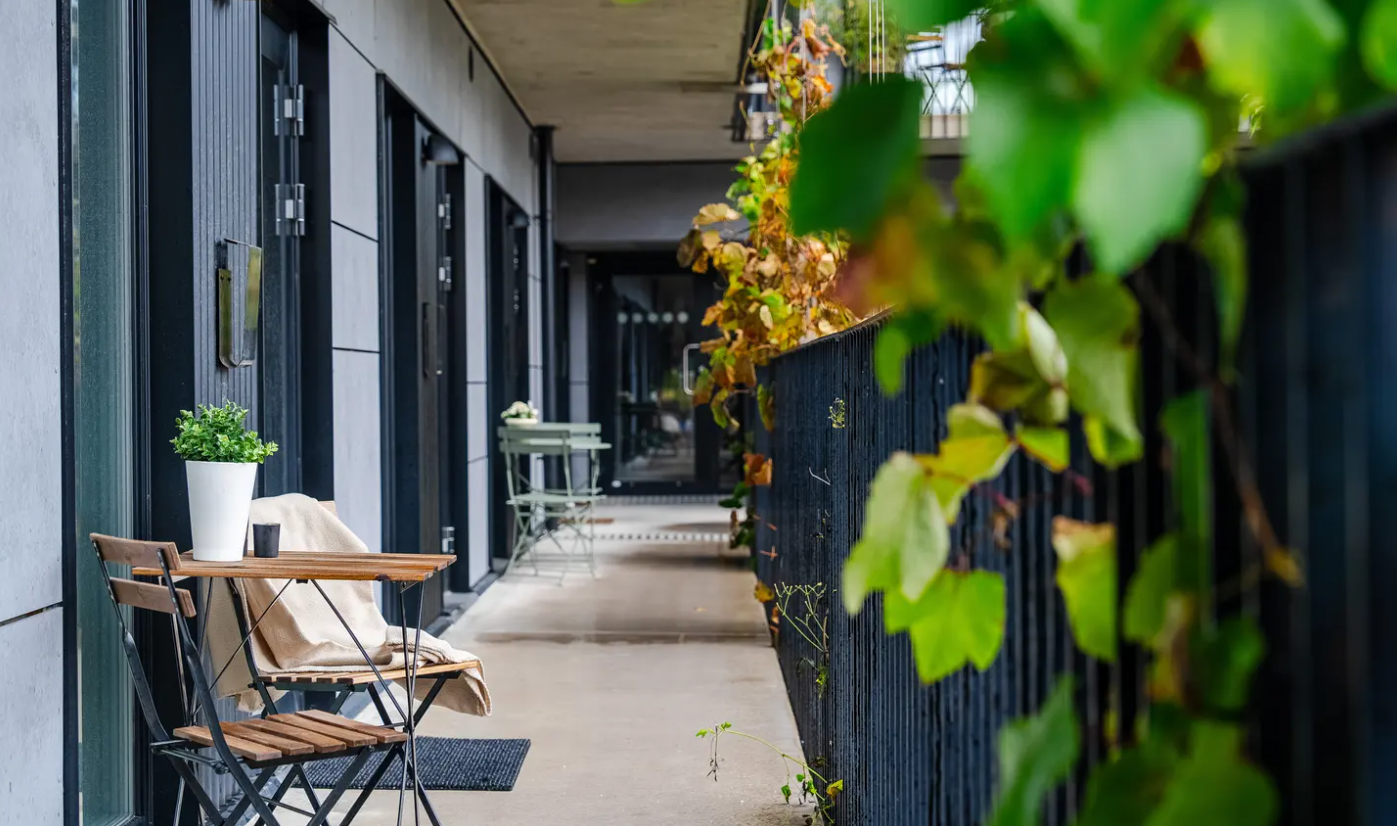 75db074ab6db93a02b3f1a04099a8fca