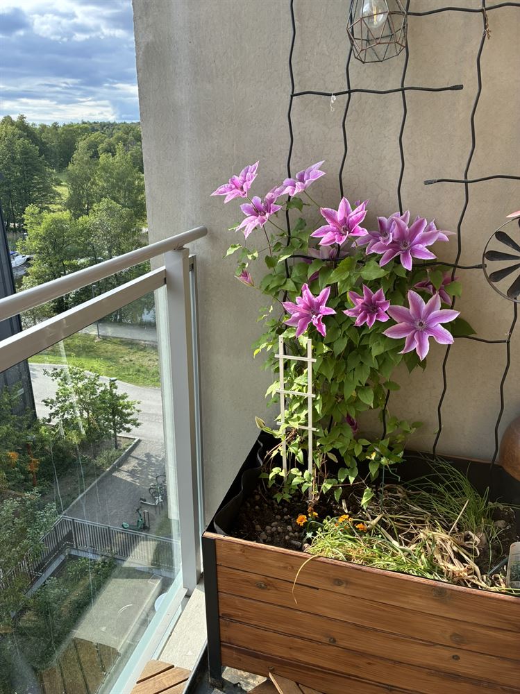 26d0207b0102feebbe9a0cee1a022150