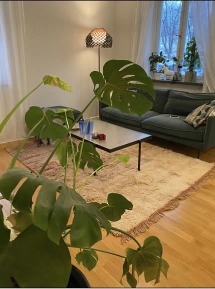 Geijersvägen