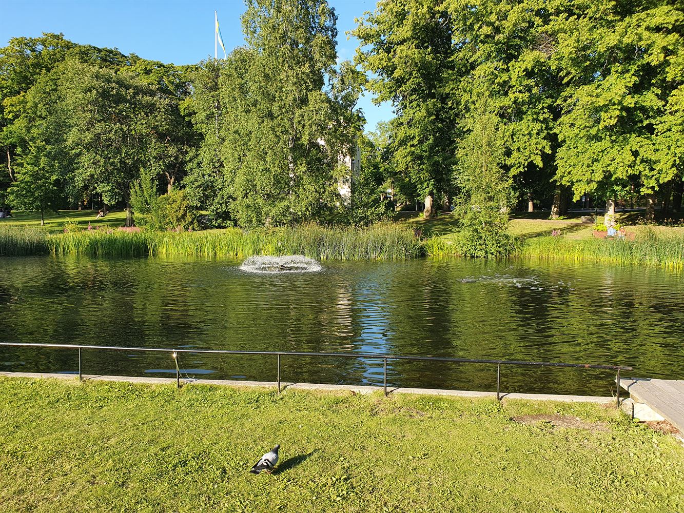 Stora Kvinns vag 80