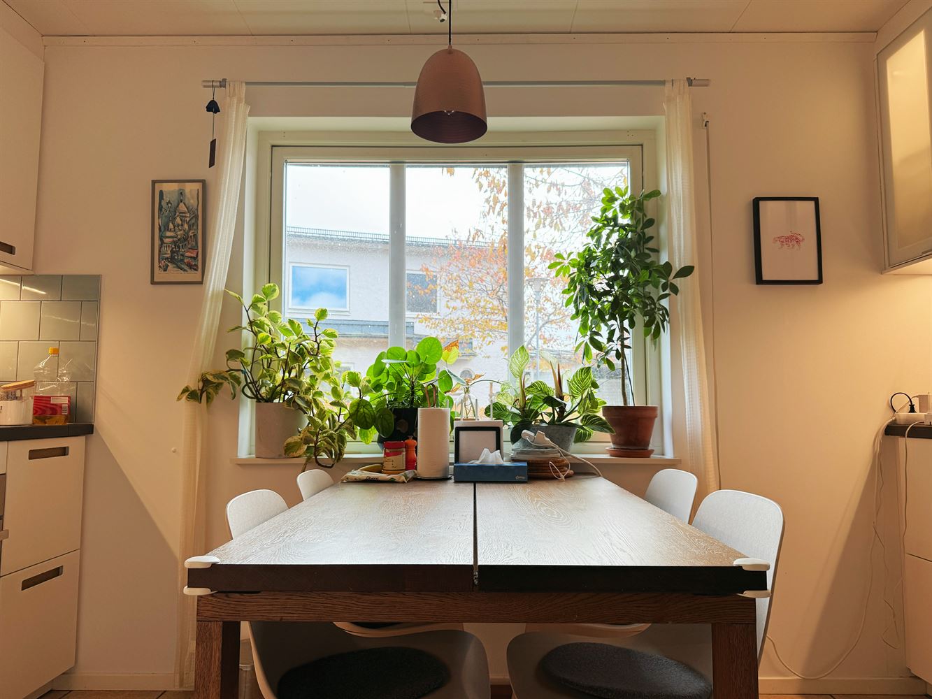 &#197;kannav&#228;gen 49