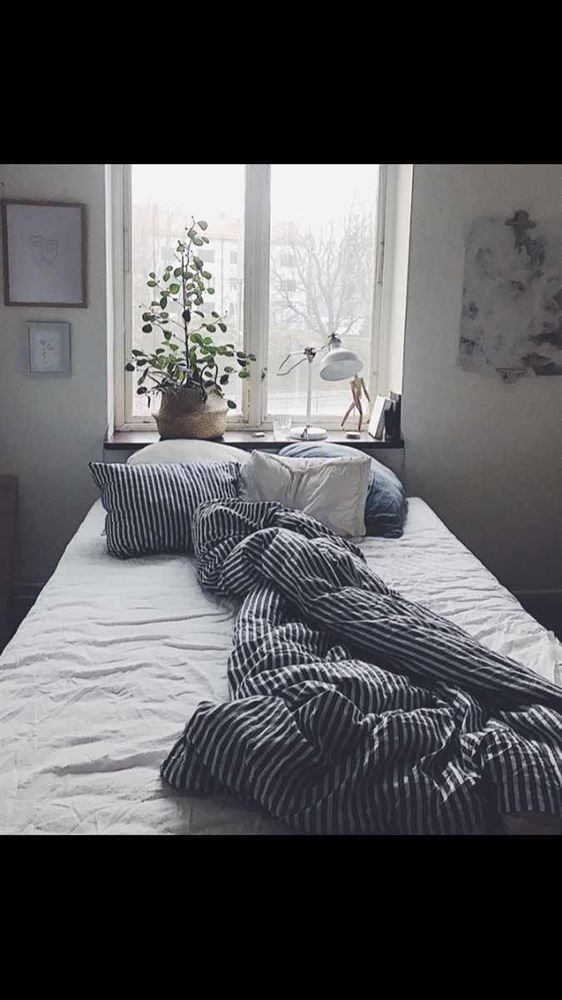 Bromeliusgatan 11B