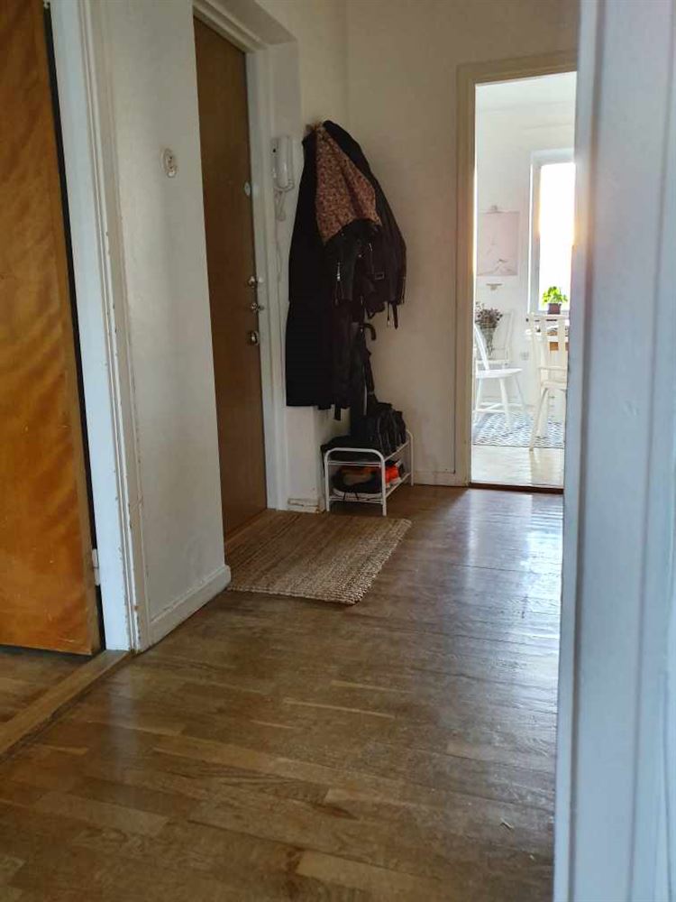 Bromeliusgatan 11B